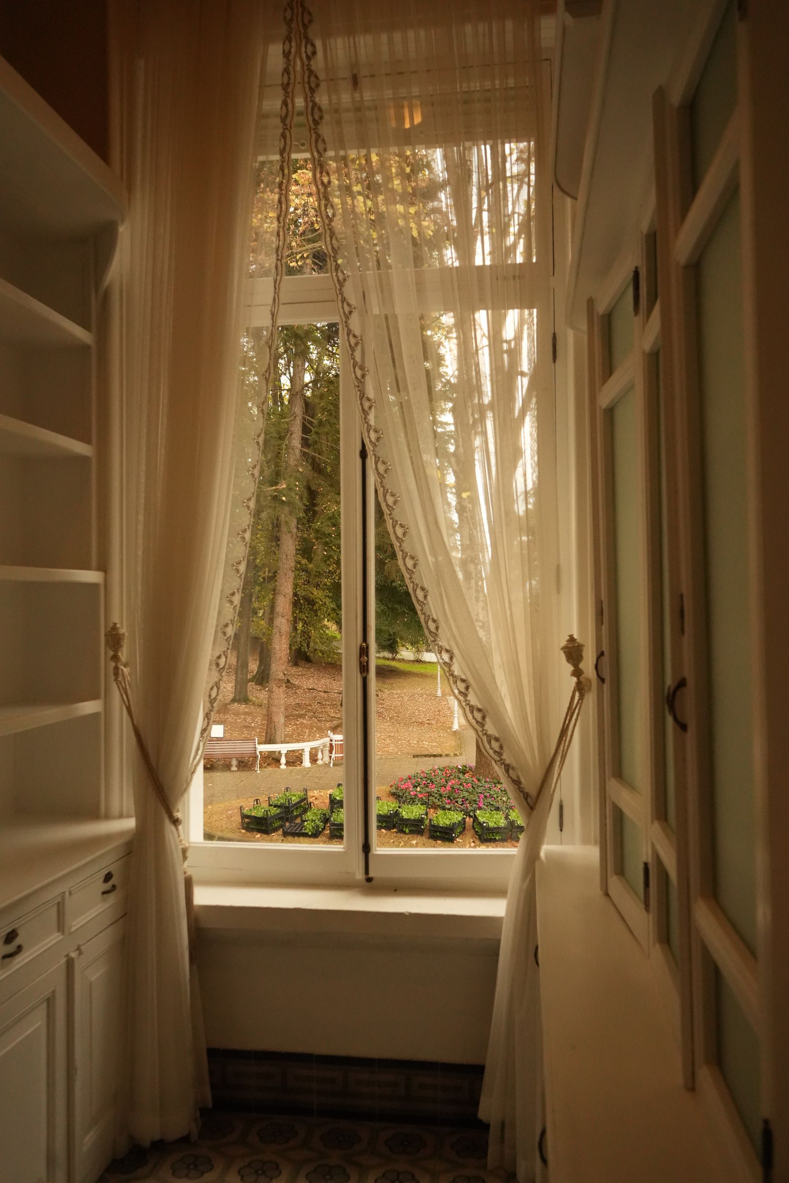 Daylight softened by linen curtains in a living room